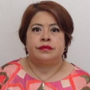 Speaker at Neurology and Brain Disorders 2022 - Ana Lilia Rodríguez Villegas